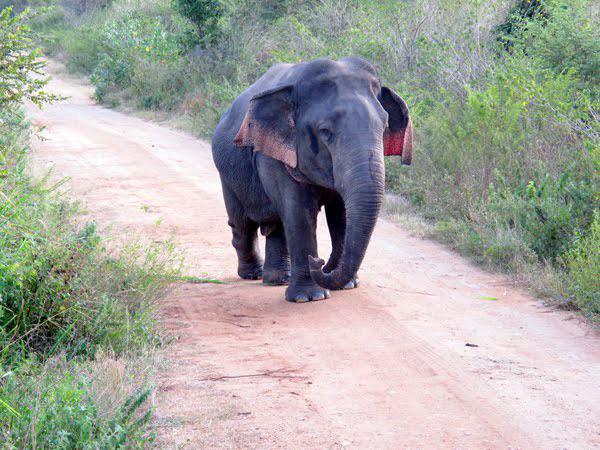 [Image: asfgdffgdhsdfgsdgfs.jpg]