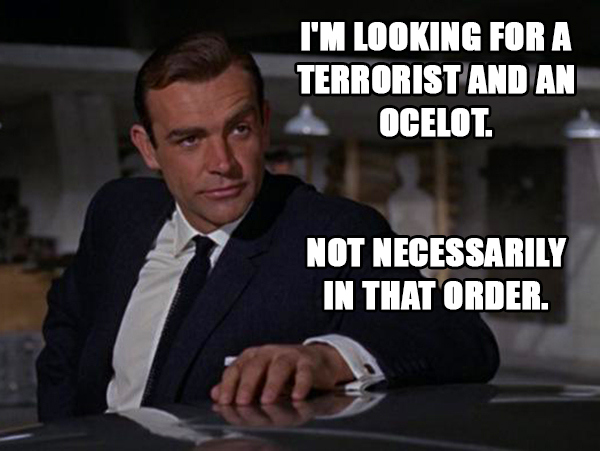 [Image: nXPwNXc.jpg]