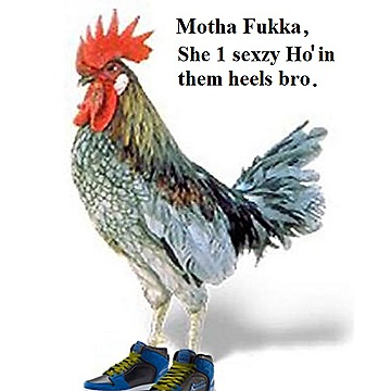 [Image: ChickenInShoes_1.jpg]