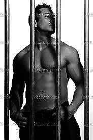 [Image: untitled_11.png]