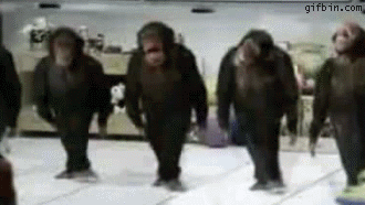 [Image: 1238512403_dancing_chimps.gif]