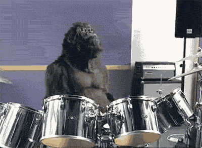 [Image: Drumming-Gorilla.gif]